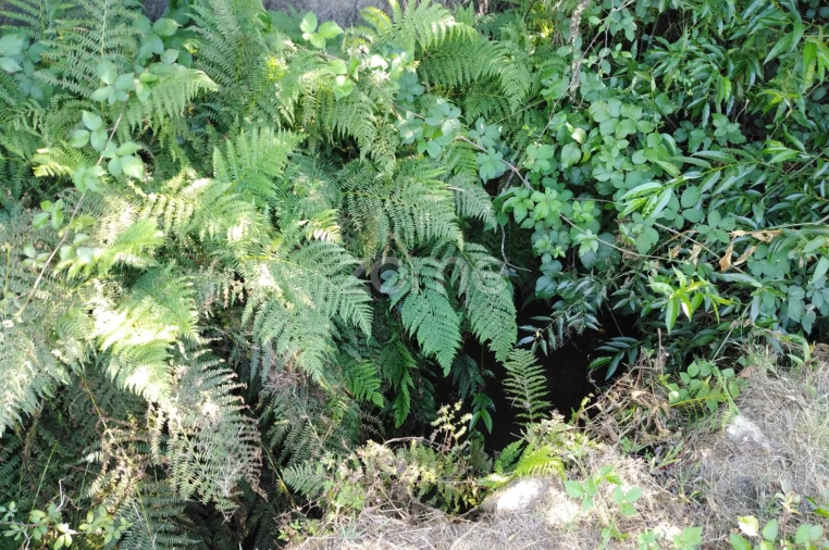 Terreno para Venda em Sameice e Santa Eulália Foto 14