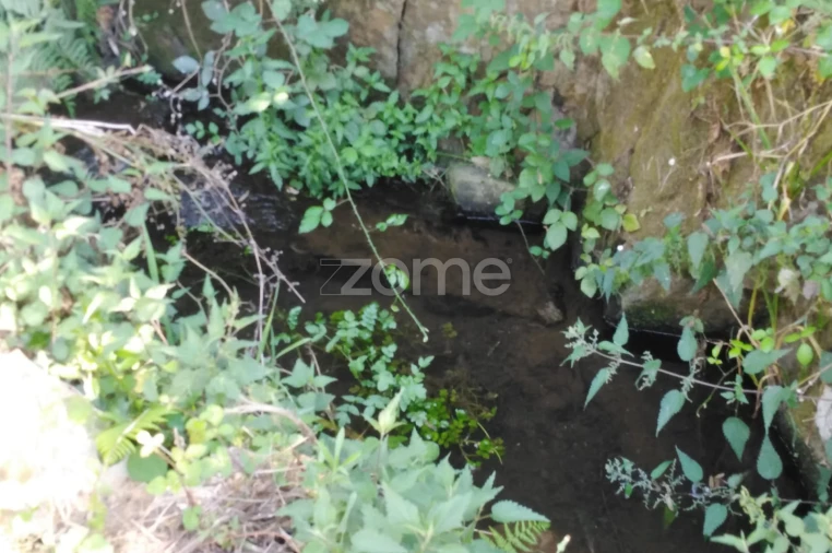 Terreno para Venda em Sameice e Santa Eulália Foto 6