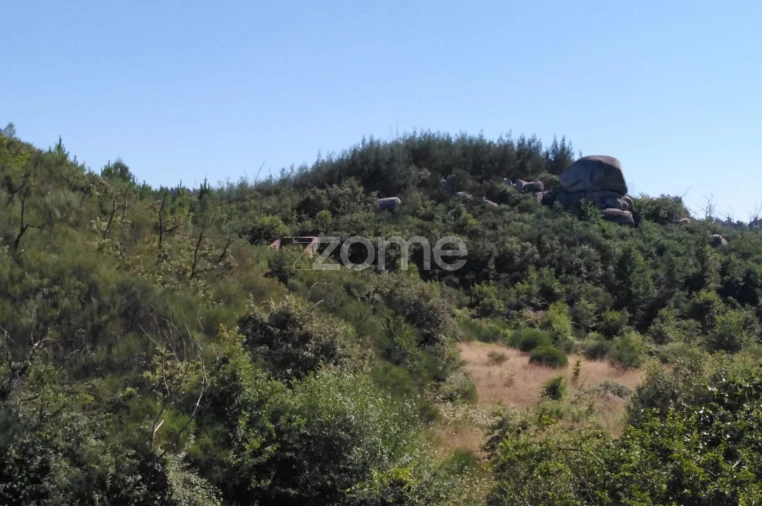 Terreno para Venda em Sameice e Santa Eulália Foto 7
