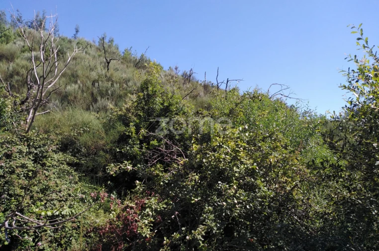 Terreno para Venda em Sameice e Santa Eulália Foto 9