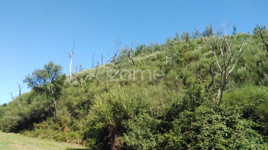 Terreno para Venda em Sameice e Santa Eulália
