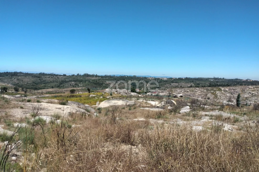 Terreno para Venda em Travancinha Foto 5