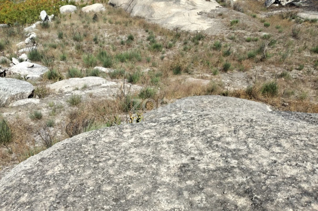 Terreno para Venda em Travancinha Foto 10