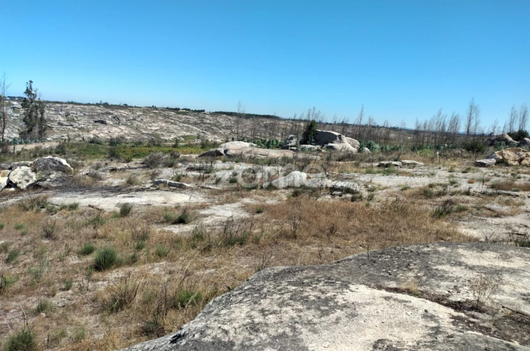 Terreno para Venda em Travancinha Foto 12