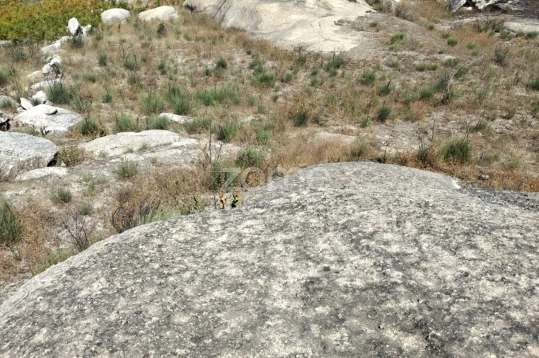Terreno para Venda em Travancinha Foto 10