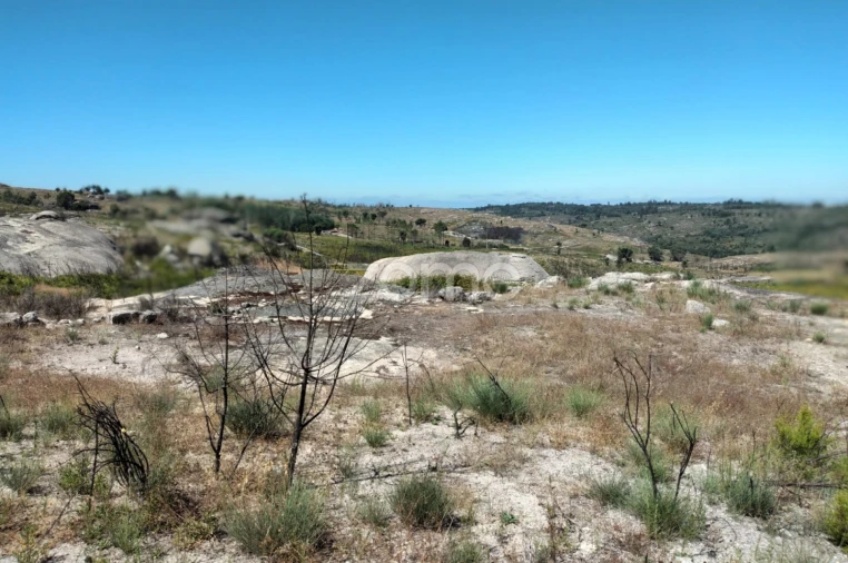 Terreno para Venda em Travancinha Foto 9