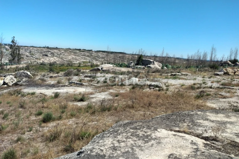 Terreno para Venda em Travancinha Foto 12