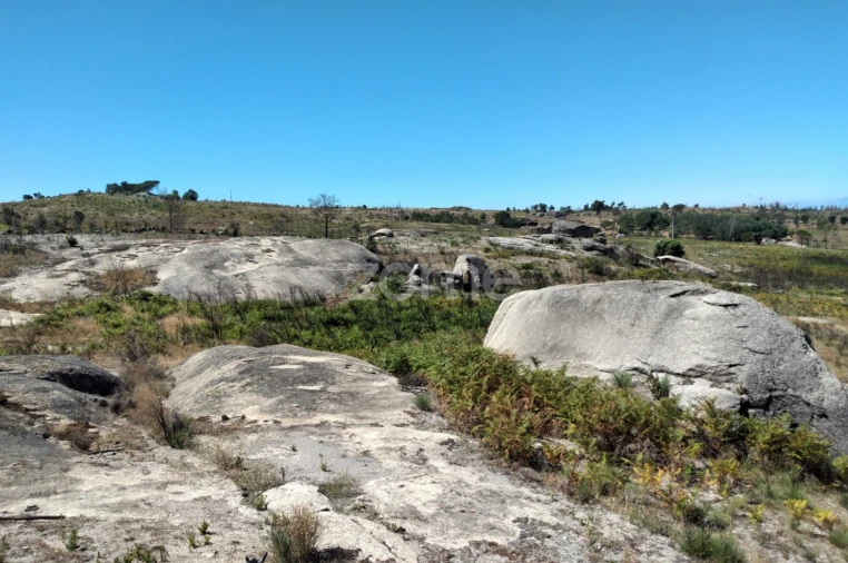 Terreno para Venda em Travancinha Foto 16