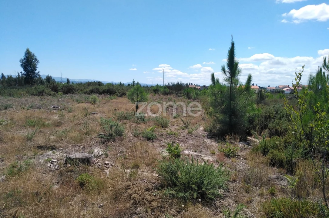 Terreno para Venda em Paranhos Foto 5