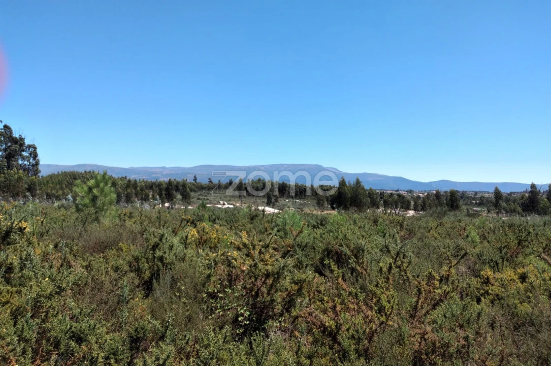 Terreno para Venda em Paranhos Foto 13