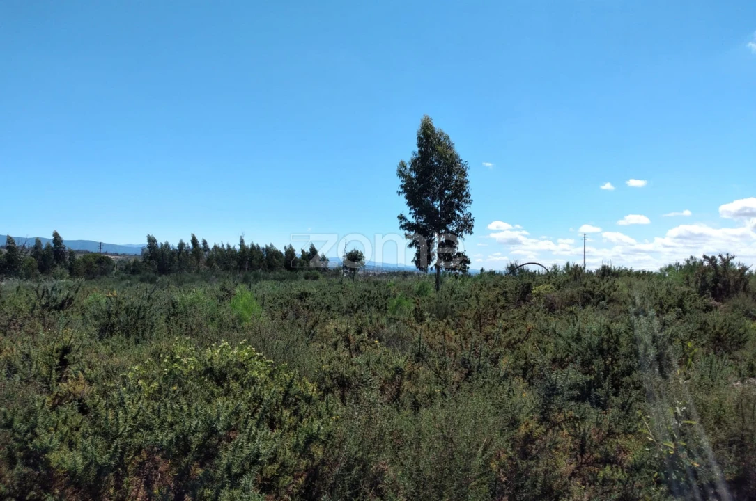 Terreno para Venda em Paranhos Foto 15