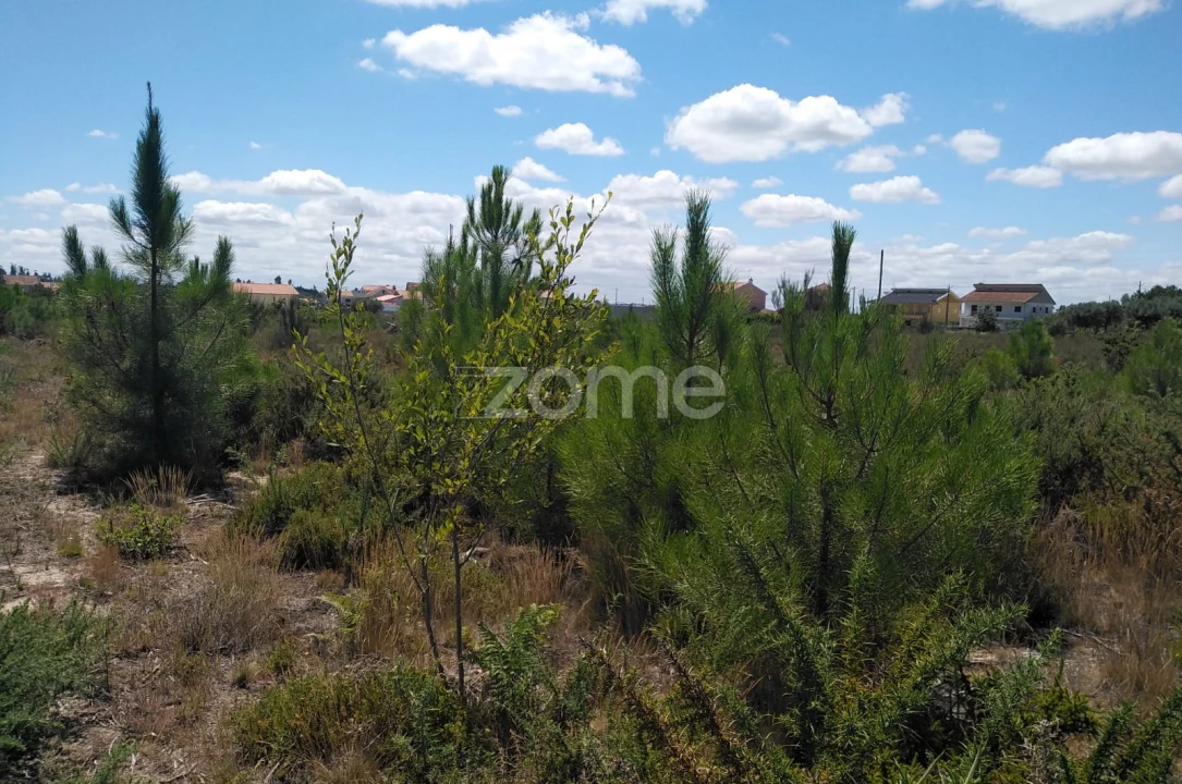 Terreno para Venda em Paranhos Foto 8