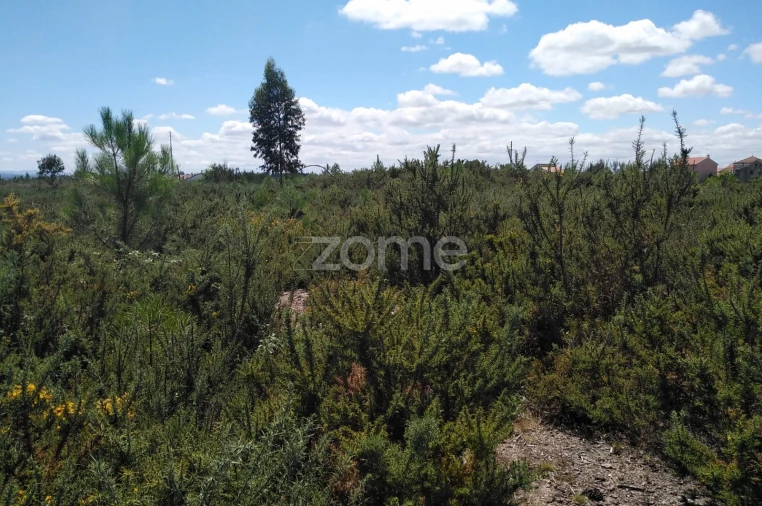 Terreno para Venda em Paranhos Foto 3