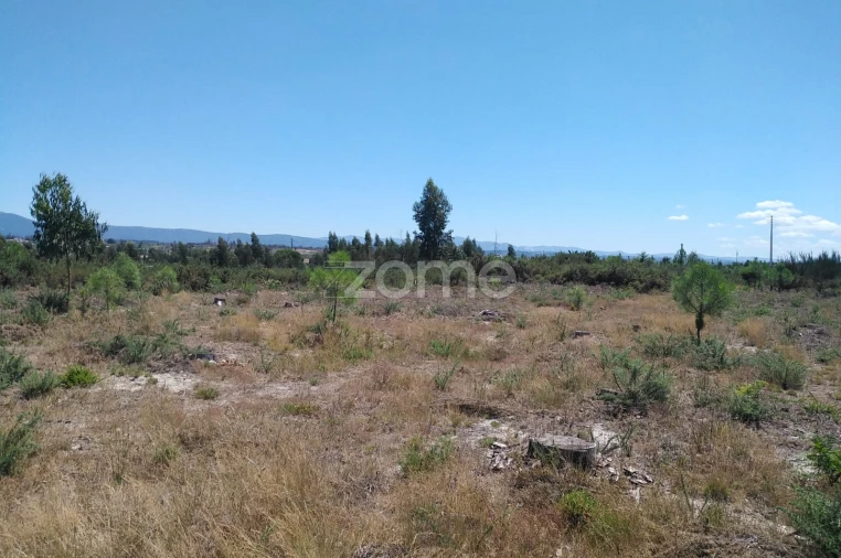 Terreno para Venda em Paranhos Foto 7