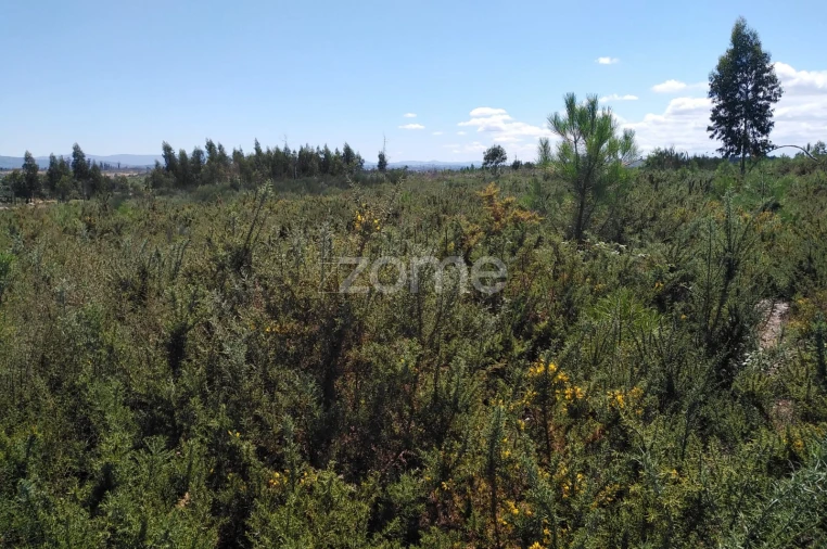 Terreno para Venda em Paranhos Foto 9