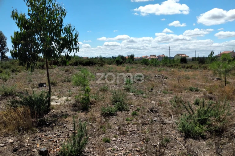 Terreno para Venda em Paranhos