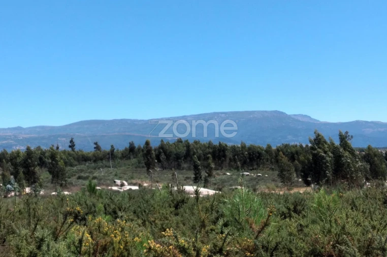 Terreno para Venda em Paranhos Foto 14