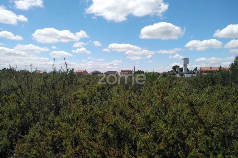 Terreno para Venda em Paranhos Foto 4