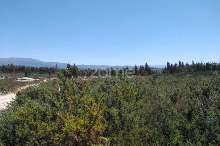 Terreno para Venda em Paranhos Foto 6