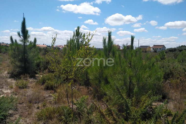 Terreno para Venda em Paranhos Foto 8