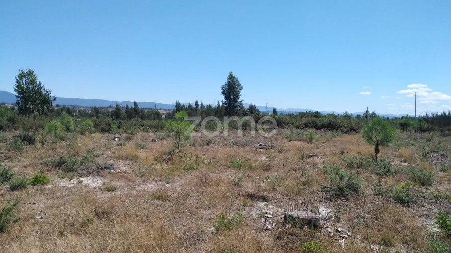 Terreno para Venda em Paranhos
