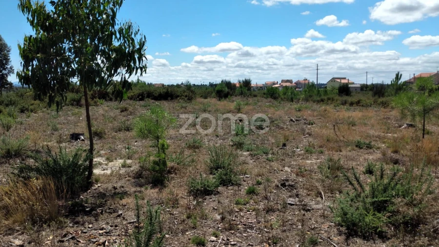 Terreno para Venda em Paranhos