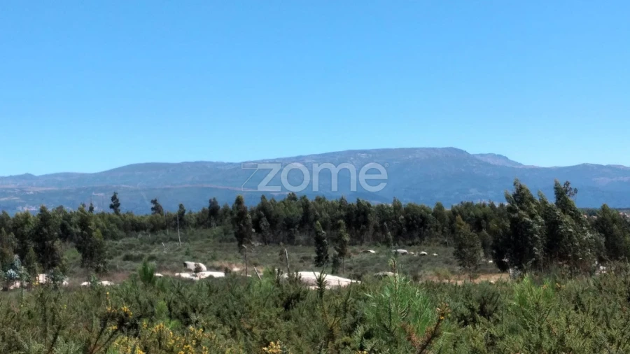 Terreno para Venda em Paranhos