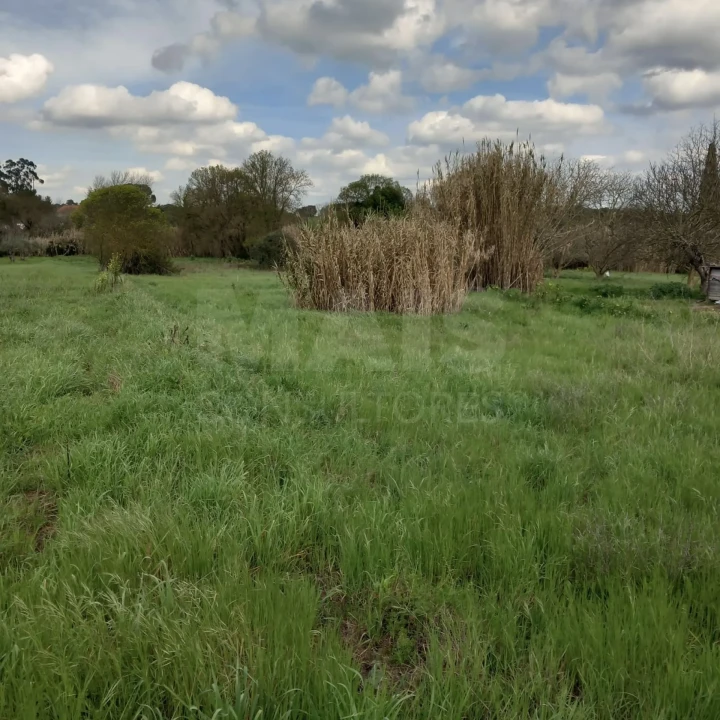 Terreno para Venda em Olaia e Paço Foto 1