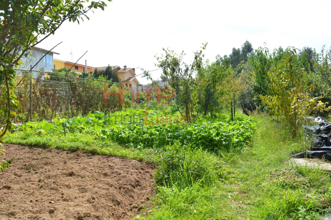 Terreno para Venda em Nogueira do Cravo e Pindelo Foto 7