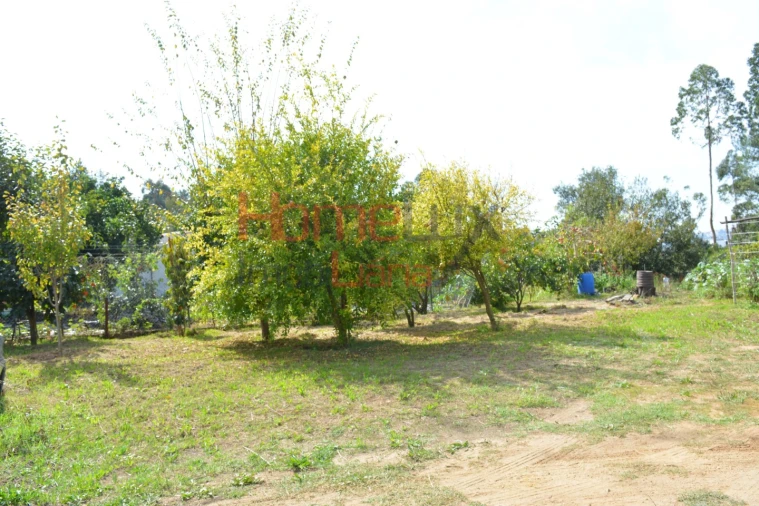 Terreno para Venda em Nogueira do Cravo e Pindelo Foto 8