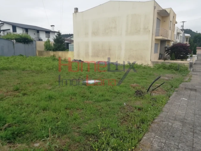 Terreno para Venda em Muro Foto 2