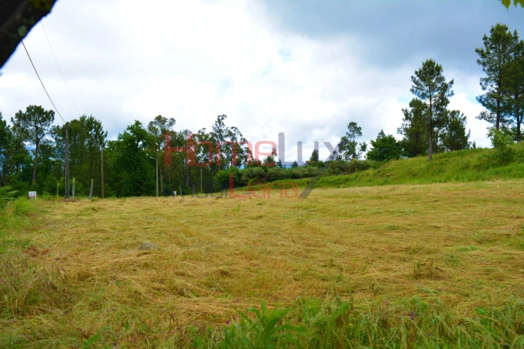 Terreno para Venda em Vouzela e Paços de Vilharigues Foto 4