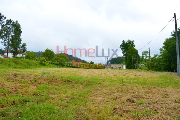 Terreno para Venda em Vouzela e Paços de Vilharigues Foto 6