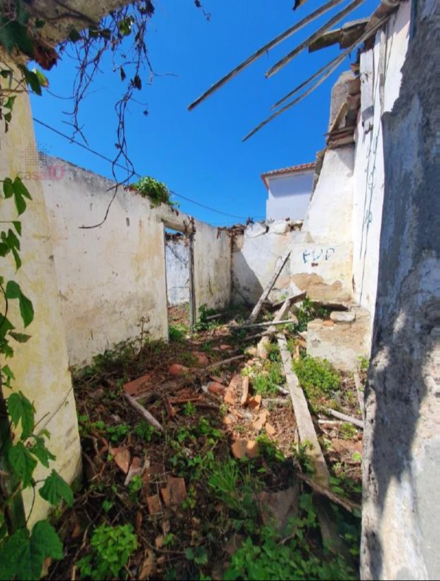 Terreno para Venda em Colares Foto 8