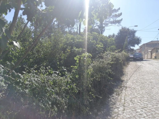 Terreno para Venda em Aguas Santas Foto 16