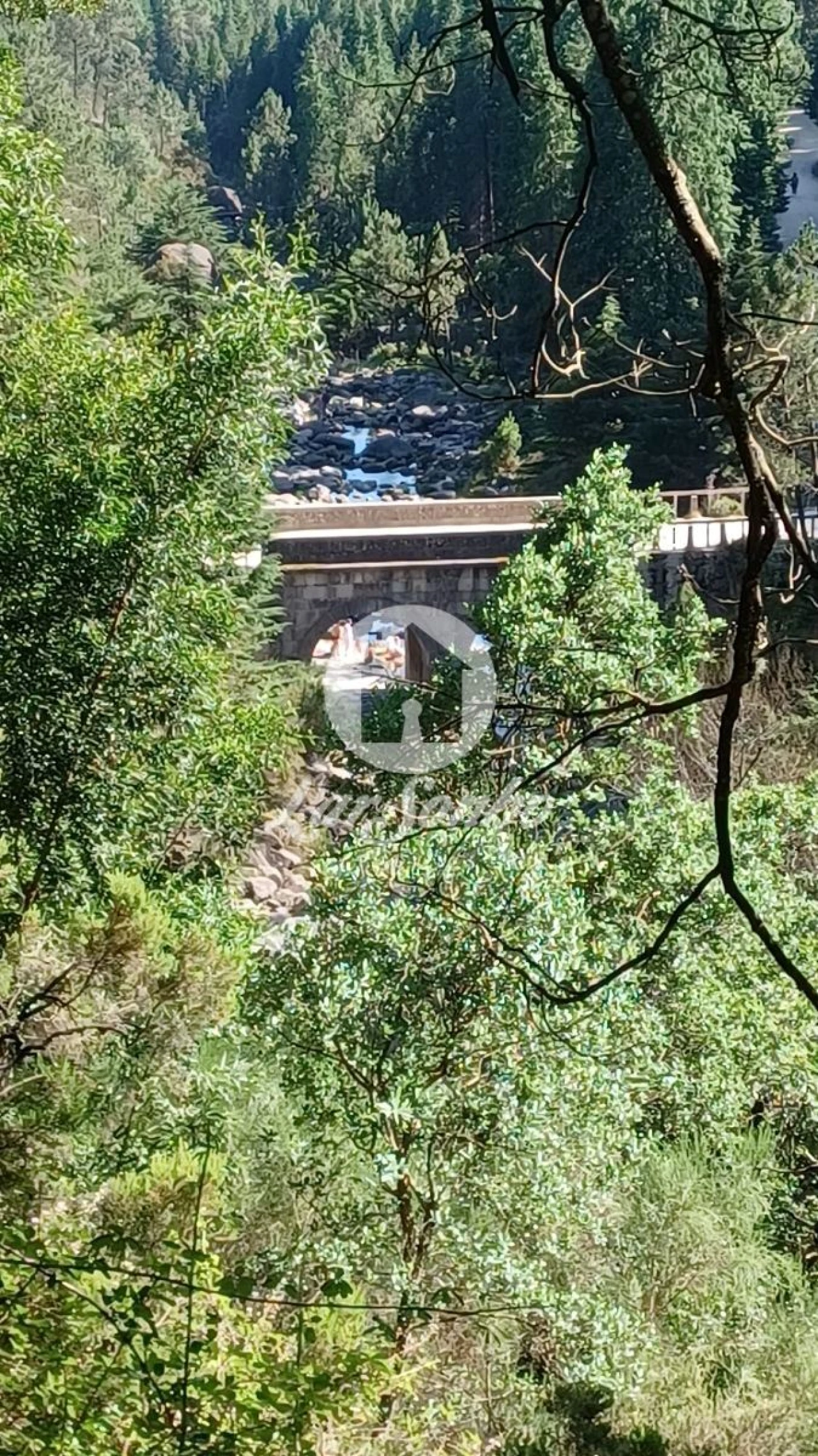 Terreno Agricola ou Rústico para Venda em Vilar da Veiga Foto 8