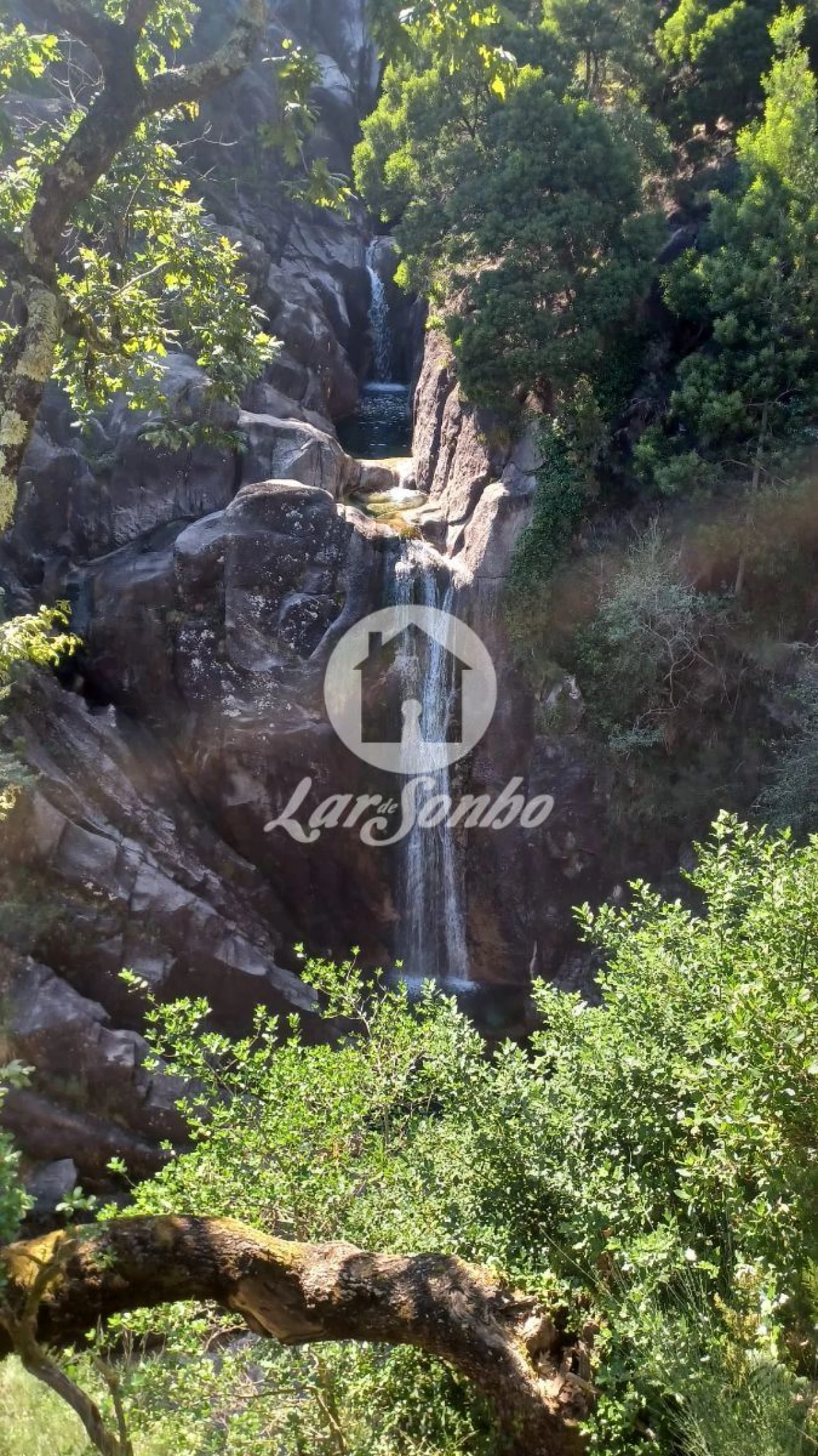 Terreno Agricola ou Rústico para Venda em Vilar da Veiga Foto 10