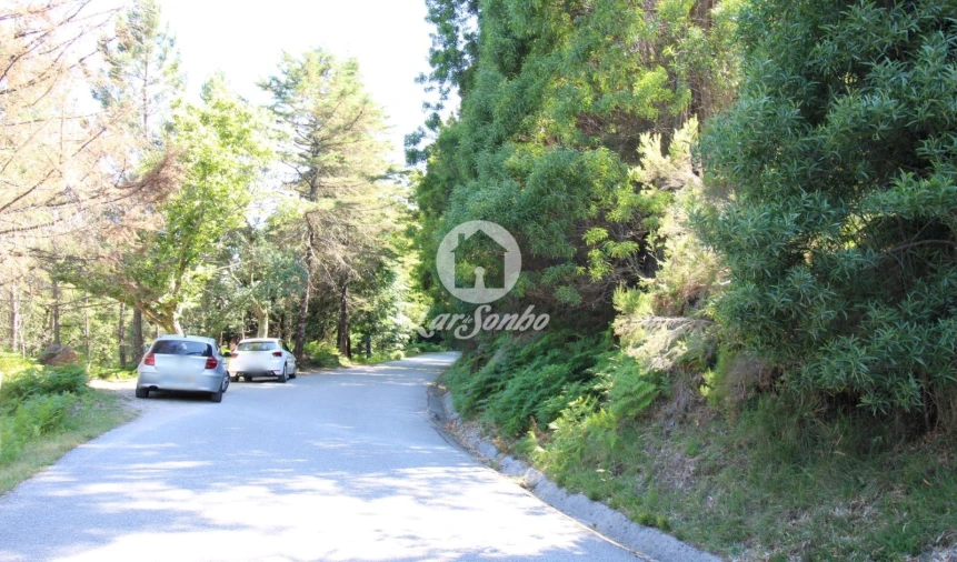 Terreno Agricola ou Rústico para Venda em Vilar da Veiga Foto 2