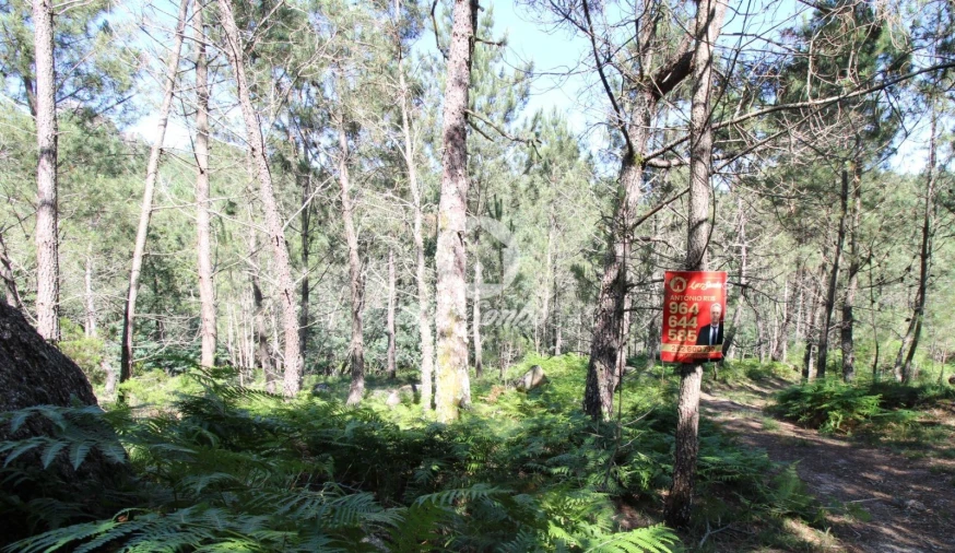 Terreno Agricola ou Rústico para Venda em Vilar da Veiga Foto 4