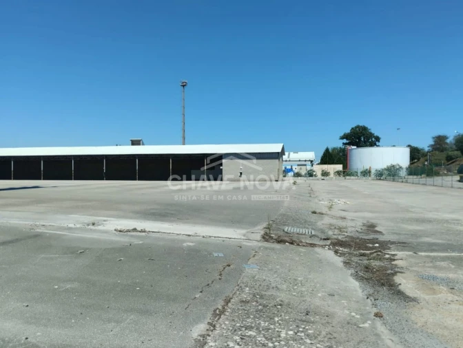 Armazém para Arrendamento em Setubal (São Sebastião) Foto 7