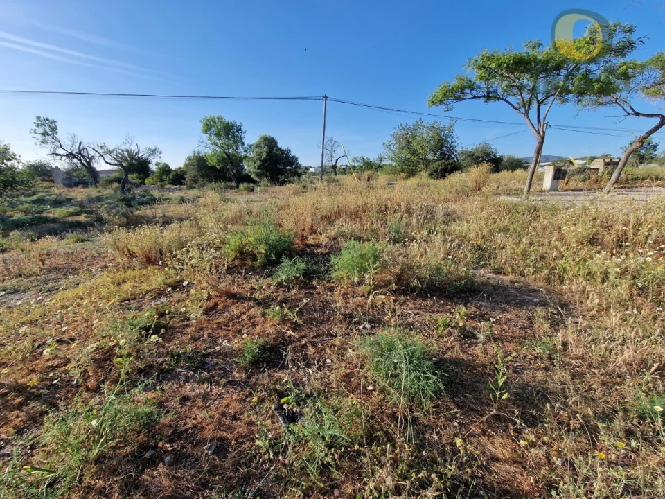 Terreno para Venda em Pechão Foto 23