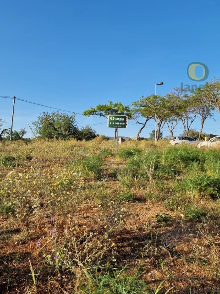 Terreno para Venda em Pechão Foto 18