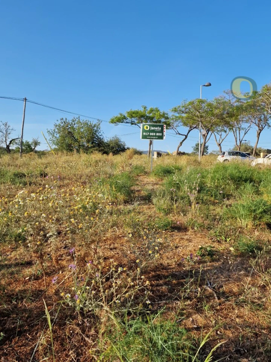Terreno para Venda em Pechão Foto 20