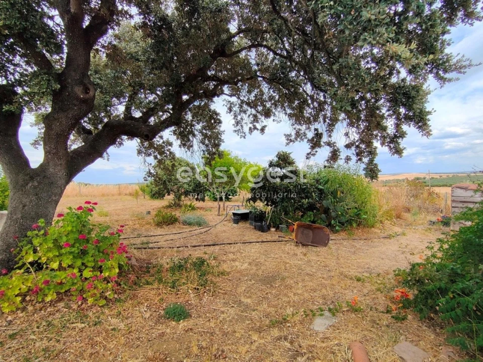 Quinta T2 para Venda em Beja (Salvador e Santa Maria da Feira) Foto 6