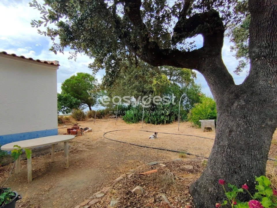 Quinta T2 para Venda em Beja (Salvador e Santa Maria da Feira) Foto 7