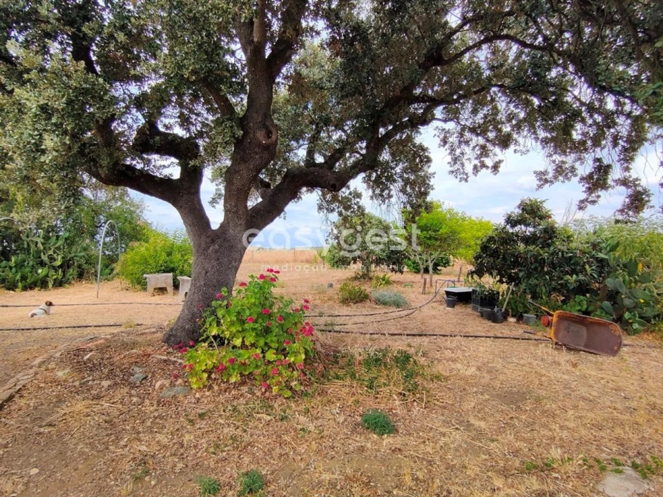 Quinta T2 para Venda em Beja (Salvador e Santa Maria da Feira) Foto 8
