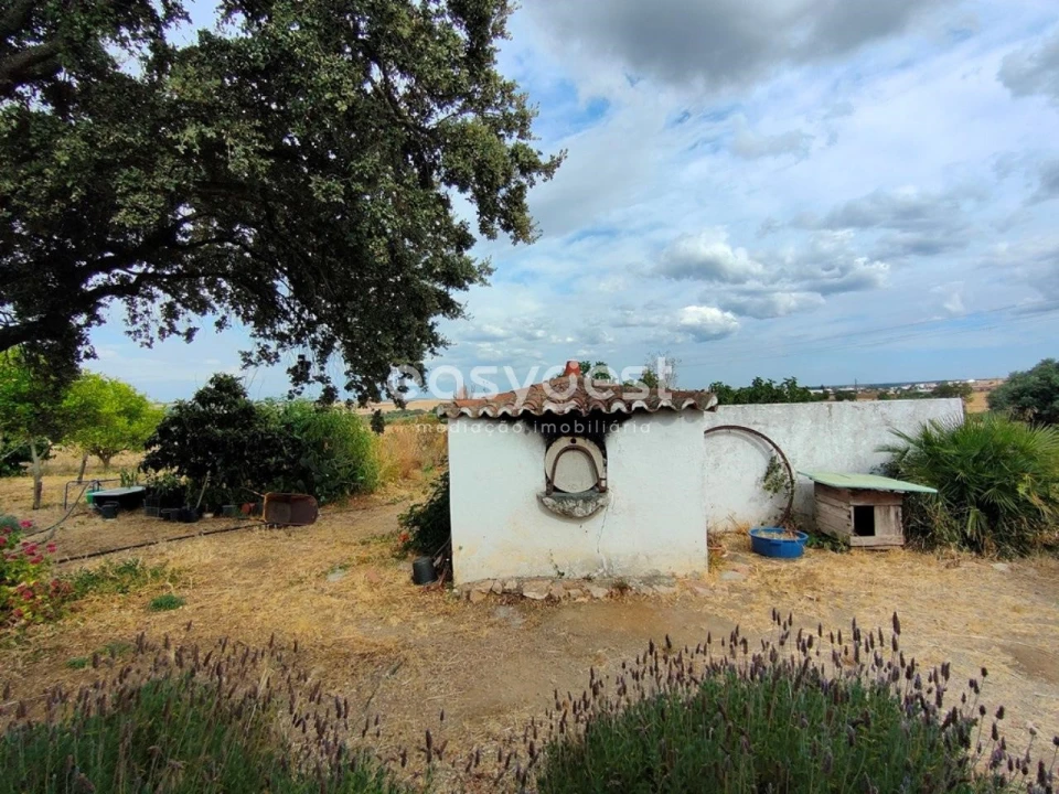 Quinta T2 para Venda em Beja (Salvador e Santa Maria da Feira) Foto 9