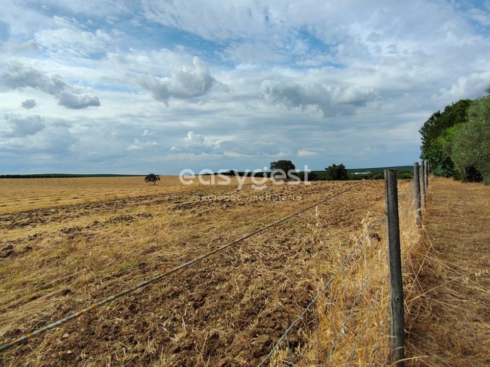 Quinta T2 para Venda em Beja (Salvador e Santa Maria da Feira) Foto 20