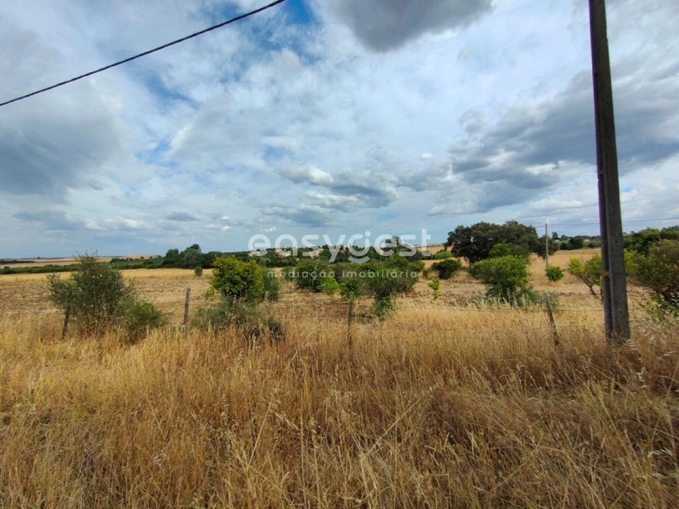 Quinta T2 para Venda em Beja (Salvador e Santa Maria da Feira) Foto 23