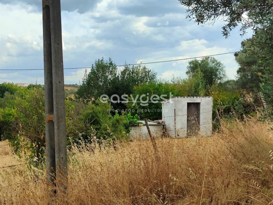 Quinta T2 para Venda em Beja (Salvador e Santa Maria da Feira) Foto 24